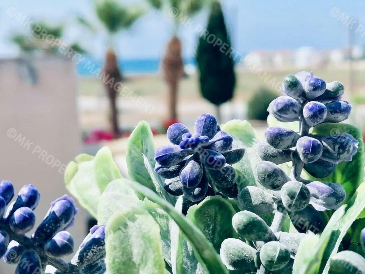 Lysia Sea-View Apartment Larnaca Zewnętrze zdjęcie